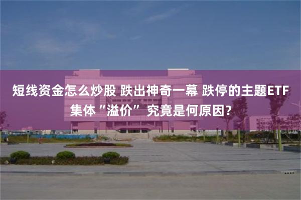 短线资金怎么炒股 跌出神奇一幕 跌停的主题ETF集体“溢价” 究竟是何原因？