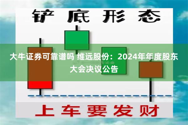 大牛证券可靠谱吗 维远股份：2024年年度股东大会决议公告