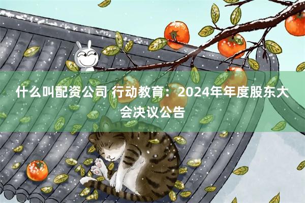 什么叫配资公司 行动教育：2024年年度股东大会决议公告