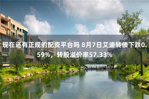 现在还有正规的配资平台吗 8月7日艾迪转债下跌0.59%，转股溢价率57.33%